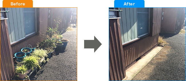 庭植木処分・観葉植物処分・土・プランター処分 Before,After 1